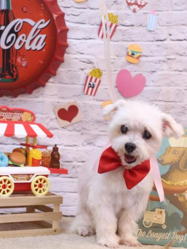 20230930ひなちゃん